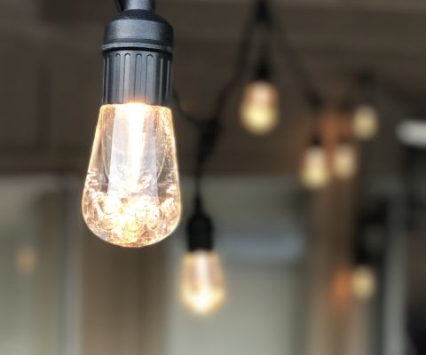 The Dyson blog: Escaping the Devil's Snare: Pioneering sustainable and innovative approaches in construction